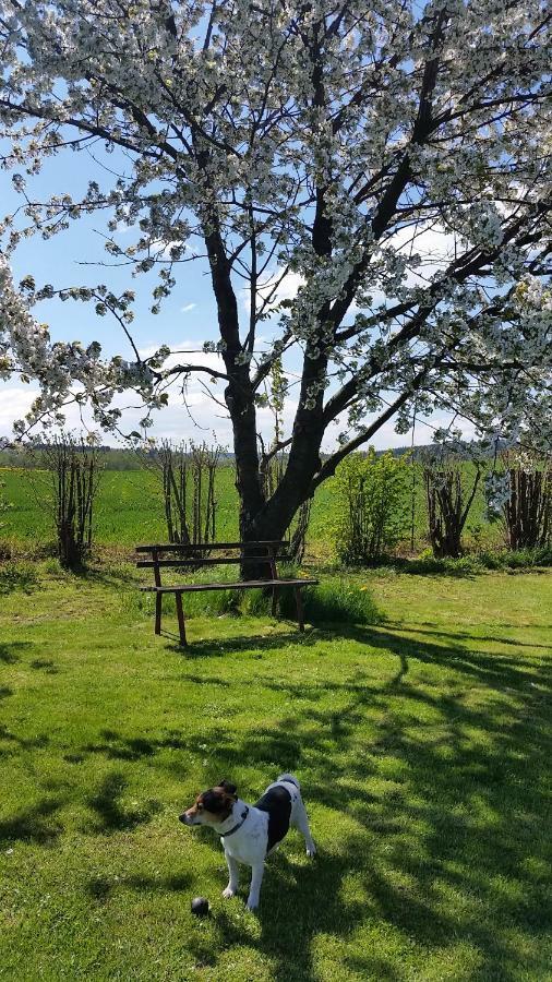Ferienhaus Stolle Lawalde Buitenkant foto